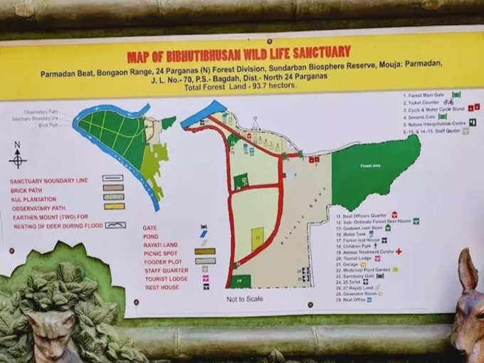 Forest Map.