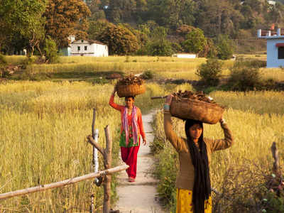भारत के इस गांव में दूर-दूर तक न कोई पड़ोसी न ही कोई परिवार, कुल-मिलाकर रहते हैं केवल 5 लोग