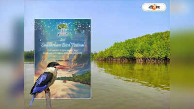 Sundarban Bird Festival : পাখি উৎসব সুন্দরবনে, কবে শুরু? কী ভাবে আবেদন করবেন? জানুন এক ক্লিকেই