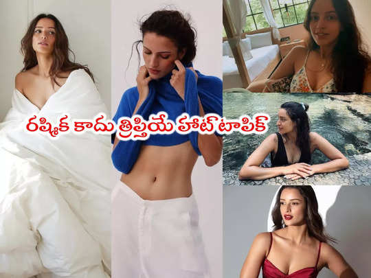 Tripti Dimri: యానిమల్ బ్యూటీ త్రిప్తి డిమ్రి బోల్డ్ పిక్స్.. ఇవి అంతకుమించి 