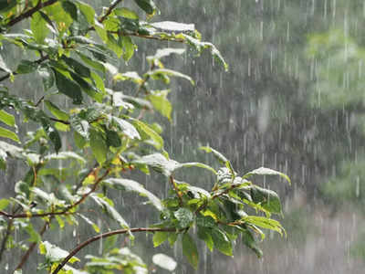 Weather Alert: ದಕ್ಷಿಣ ಒಳನಾಡು ಹಾಗೂ ಕರಾವಳಿಗೆ ಹಗುರ ಮಳೆ: ಉತ್ತರ ಒಳನಾಡಿಗೆ ಒಣ ಹವೆ