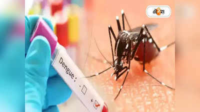Dengue Fever : জল জমানোর প্রবণতা বেশি উচ্চ-মধ্যবিত্তদের! বাড়িই ডেঙ্গির আঁতুড়ঘর