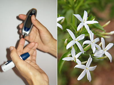 Night Blooming Jasmine: રાત્રે વાતાવરણને મહેકાવતી રાતરાણીના ફૂલો છે ડાયાબિટીસનો ઇલાજ, 5 પરેશાનીઓમાં આપશે રાહત