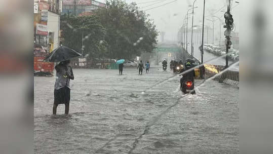 ஆபீஸ் வர வேண்டாம்.. வீட்டில் இருந்தே வேலை பாருங்க! தமிழக அரசு அட்வைஸ்!