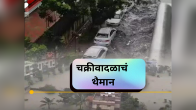 Cyclone Michaung: रस्त्यावर तरंगणाऱ्या गाड्या अन् मगरी; मिचॉन्ग वादळाचा कहर; VIDEO पाहून घाबराल...