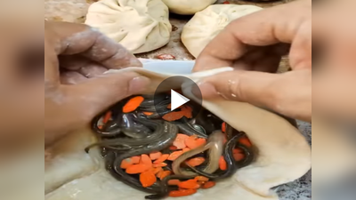 Viral Food Video: মোমোর ভিতরে কৃমির মতো পোকা! মাথায় হাত নেটিজেনদের