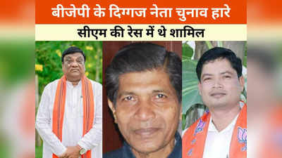 Chhattisgarh News: छत्तीसगढ़ के तीन नेता जो सीएम की रेस में थे शामिल इस बार हार गए चुनाव, मोदी लहर में भी नहीं मिली जीत