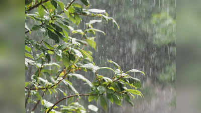 Weather Alert: ದಕ್ಷಿಣ ಒಳನಾಡು-ಕರಾವಳಿಯ ಕೆಲವು ಕಡೆ ಹಗುರ ಮಳೆ ಸಾಧ್ಯತೆ