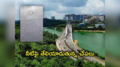 Hyderabad: దుర్గం చెరువులో వేలాది చేపల మృత్యువాత.. కారణం అదేనా?