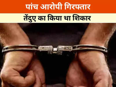 Chhattisgarh News: गरियाबंद जिले में तेंदुए की खाल की तस्करी, पांच आरोपी गिरफ्तार