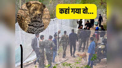 Delhi Leopard Rescue: उसे जमीन खा गई! दिल्ली में तेंदुए का सर्च ऑपरेशन बंद, पर दहशत अभी जिंदा