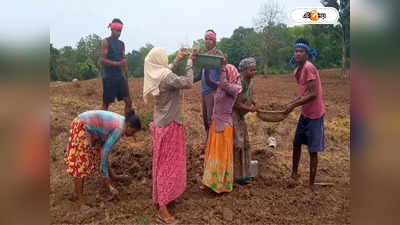 MGNREGA Scheme : ভুয়ো জবকার্ডে এগিয়ে যোগী-মোদী-শাহের রাজ্য! তবু কেন বাংলার কুৎসা, প্রশ্ন তৃণমূলের