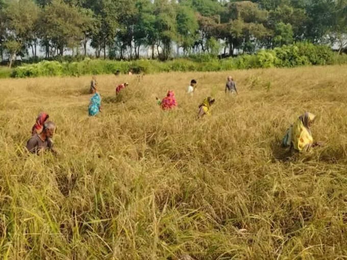farmers. farmers.