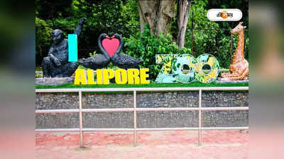 Alipore Zoo : জন্তু-পাখিদের ডাক শুনেই অন্য জগতে পাড়ি দৃষ্টিহীন পড়ুয়াদের, চমকপ্রদ অভিজ্ঞতা