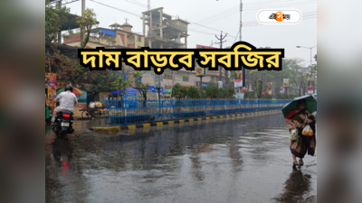 West Bengal Rain : হালকা-মাঝারি কম্বিনেশনে ভিজল অধিকাংশ জেলা! বৃষ্টিতে ক্ষতি হবে ফসলের?
