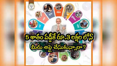 Govt Scheme: 5 శాతం వడ్డీకే రూ.3లక్షల లోన్.. 3 నెలల్లోనే 25 లక్షల దరఖాస్తులు.. మీరు అప్లై చేసుకున్నారా? 