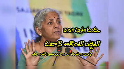 Budget 2024: బడ్జెట్ 2024లో భారీ తాయిలాలు? నిర్మలా సీతారామన్ ఏం చెప్పారంటే? 