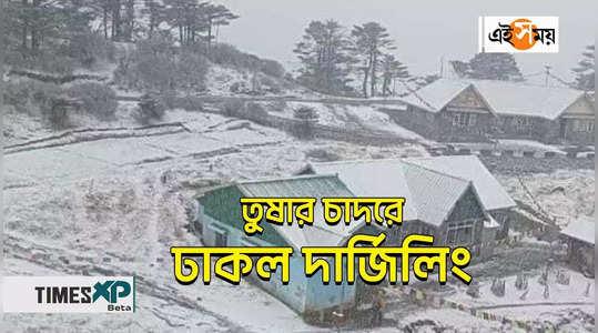 darjeeling witnesses fresh snowfall watch video