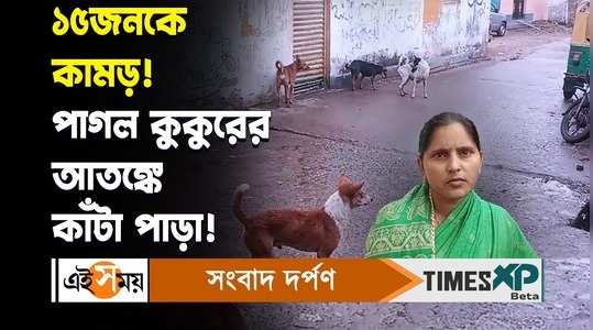 asansol news 15 people are bitten by mad dog local residents are in panic watch video