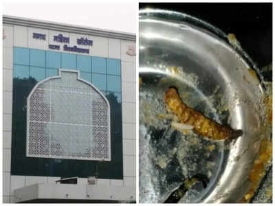 Patna News: मगध महिला कॉलेज के हॉस्टल के खाने में मिला कीड़ा, छात्राओं का फूट पड़ा गुस्सा
