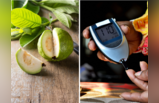 Winter Foods For Diabetics: डायबिटीज का काल बन अवतरित हुई हैं ये 8 चीजें, पूरी ठंड काबू रहेगा ब्लड शुगर