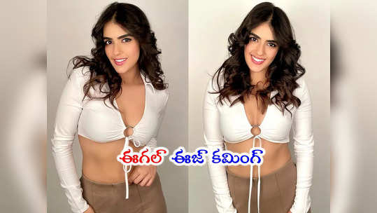 Kavya Thapar: బిచ్చగాడు-2 బ్యూటీ గ్లామర్ షో.. కావ్య థాపర్ కత్తిలా ఉందిగా 