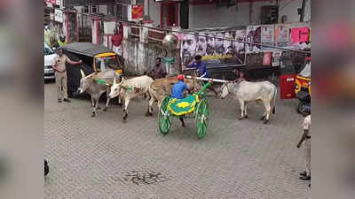 Kumily Nava Kerala Sadas Bull Race: കുമളിയിലെ കാളയോട്ട മത്സരം: സംഘാടകർക്കെതിരെ നിയമനടപടി ആവശ്യപ്പെട്ട് യൂത്ത് കോൺഗ്രസ്