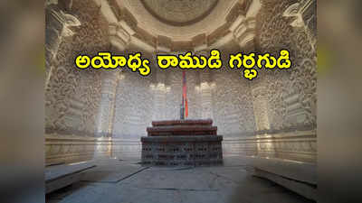 Ayodhya: అయోధ్య గర్భగుడి ఫోటోలు విడుదల.. రాముడు కొలువుదీరనున్న ప్రాంతం ఎలా ఉందంటే? 