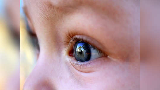 Kids Eye Care: శీతాకాలంలో మీ పిల్లల కళ్లను రక్షించడానికి.. ఈ జాగ్రత్తలు కచ్చితంగా తీసుకోవాలి..!