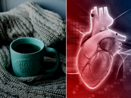 Heart Health: શિયાળામાં હૃદયની નસો બ્લોક હોવાના 7 સંકેત, જીવલેણ Heart Attackથી બચાવશે ડોક્ટરે જણાવેલા 6 ઉપાય 