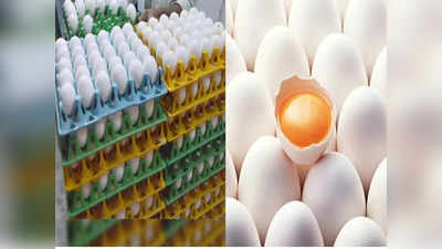 Mumbai News: थंडीत अंड्यांची मागणी वाढताच भाव कडाडले, डझनामागे किती रुपयांनी महाग?