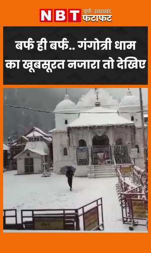 amazing sight seen due to snowfall in gangotri watch video