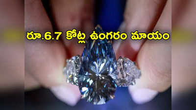 Diamond Ring: హోటల్‌లో మాయమైన రూ.6.7 కోట్ల విలువైన డైమండ్ రింగ్.. తర్వాత ఏం జరిగిందంటే?