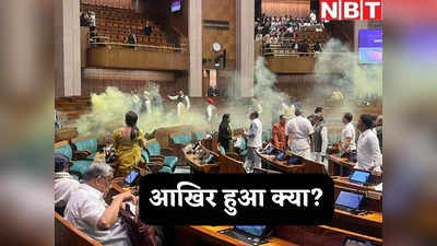 सिलसिलेवार जानिए संसद के जीरो आवर के दौरान कैसे लगी सुरक्षा में सेंध