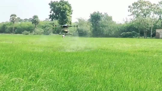 சீர்காழியில் சம்பா பயிர்கள் இலை சுருட்டு நோயால் பாதிப்பு... ட்ரோன் மூலம் மருந்து தெளிக்கும் பணி!