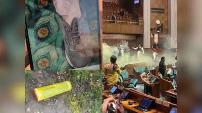 लोकसभेत धूरच धूर; संसदेत घुसलेल्या तरुणांच्या बुटात नेमकं कोणतं हत्यार होतं? कुठून आलं?