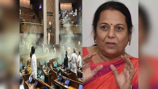 नई संसद की सुरक्षा में चूक के बाद महाराष्ट्र में अलर्ट, शीतकालीन सत्र के लिए डिप्टी चेयरमैन ने लिया बड़ा फैसला