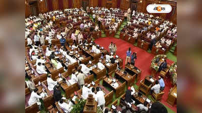 Parliament Monsoon Session : রংবাজি হামলা নিয়ে উত্তাল সংসদ! সাসপেন্ড ডেরেক সহ ১৫ বিরোধী সাংসদ, তালিকায় কারা?