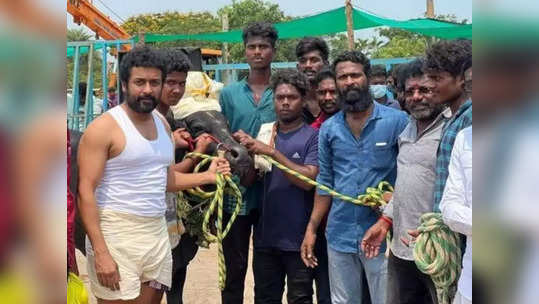 விஜய் சேதுபதியின் பிளாஸ்பேக் காட்சி: 'வாடிவாசல்' படம் குறித்து சூப்பரான மேட்டர் சொன்ன வெற்றிமாறன்.!