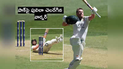 David Warner: పాక్‌పై వార్నర్ సూపర్ సెంచరీ.. పులిలా సెలబ్రేషన్స్, ఆ స్కూప్ సిక్స్ హైలైట్ 