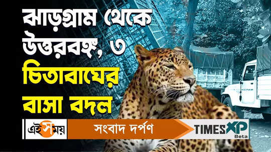 three male leopards are sent from jhargram zoological park to north bengal