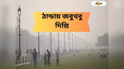 Weather Update : রাজনৈতিক উত্তাপের মাঝেই রেকর্ড ঠান্ডা, শীতে সিমলাকে হার মানাল দিল্লি