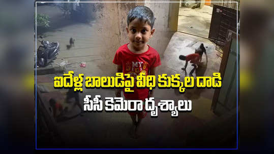 Hyd: బాలుడిపై వీధి కుక్కల దాడి.. ఆడుకుంటుండగా అటాక్, సీసీటీవీ వీడియో 