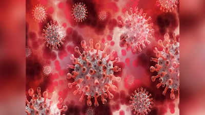 Covid Virus: మళ్లీ కొవిడ్ భయం.. పర్యాటకులకు మాస్క్‌లు తప్పనిసరి.. థర్మల్ స్కానర్లు కూడా! 