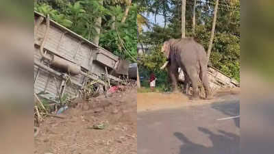 Triprayar Elephant Attack: തൃപ്രയാറിൽ ആന ഇടഞ്ഞു; കാറും രണ്ട് ടെംപോ ട്രാവലറും തകർത്ത് പൂതൃക്കോവിൽ പാർഥസാരഥി, ഗതാഗത തടസ്സം