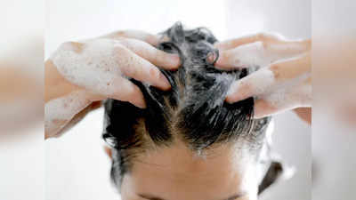Winter Hair Wash: শীতে শ্যাম্পু করুন চিকিৎসকের এই ৪ ট্রিক মেনে! তাতেই ঠান্ডা লাগবে না, এদিকে কমবে হেয়ার ফল