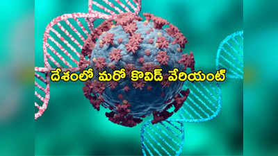 Covid: దేశంలో మరో కొత్త కొవిడ్ వేరియంట్.. కేరళలో గుర్తింపు.. మళ్లీ భయం భయం!