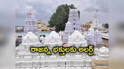 Vemulawada: భక్తులకు అలర్ట్.. వేములవాడ రాజన్న ఆలయంలో ఆర్జిత సేవలు నిలిపివేత