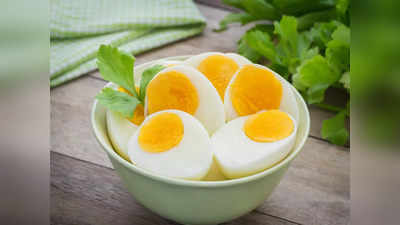 Boiled Egg Diet: ম্যাজিকের মতো গলে যাবে সব চর্বি! ভাইরাল এই ডায়েট প্ল্যান নিয়ে যা বলছেন বিশেষজ্ঞরা