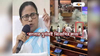 Mamata Banerjee on Parliament Security Breach : ‘বাংলার কোনও যোগ নেই’, সংসদ হামলার ঘটনায় মুখ খুললেন মুখ্যমন্ত্রী